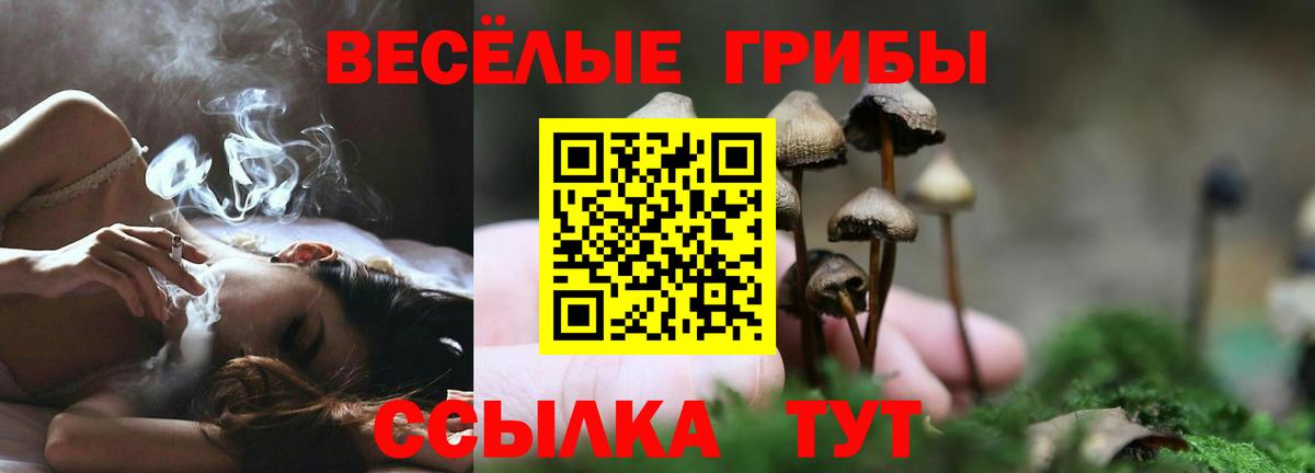 Псилоцибиновые грибы ЛСД  Псилоцибиновые грибы Magic Shrooms  Вход с VPN  Кудрово 