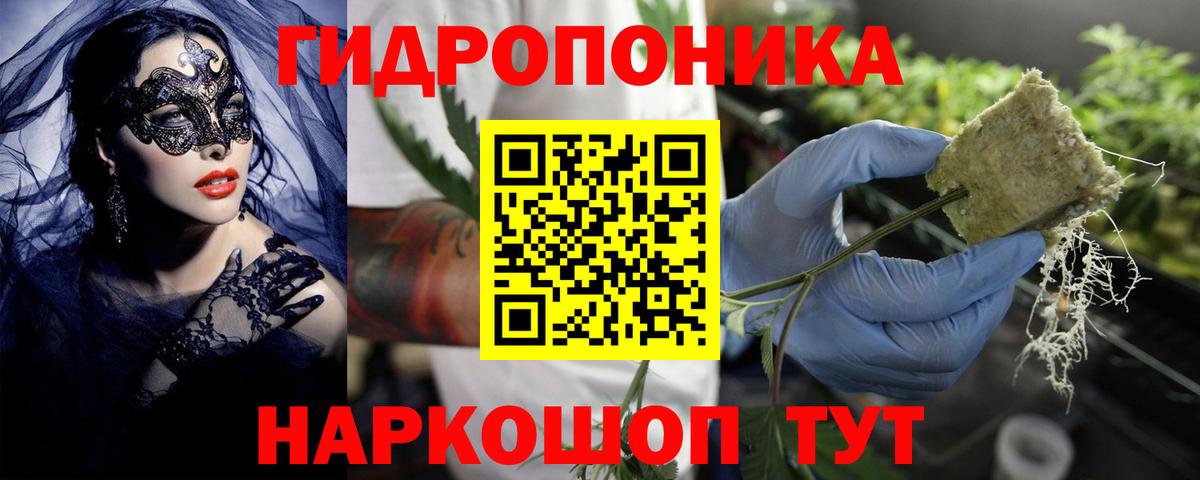 Марихуана гибрид  Вход с VPN  Конопля Bruce Banner  Канабис THC 21%  Кудрово 